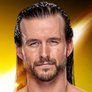 WWE Roh AEW WCW ECW série MATTEL 53 AJ Lee très difficile à trouver